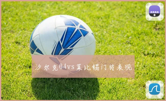 沙尔克04vs莱比锡门将表现